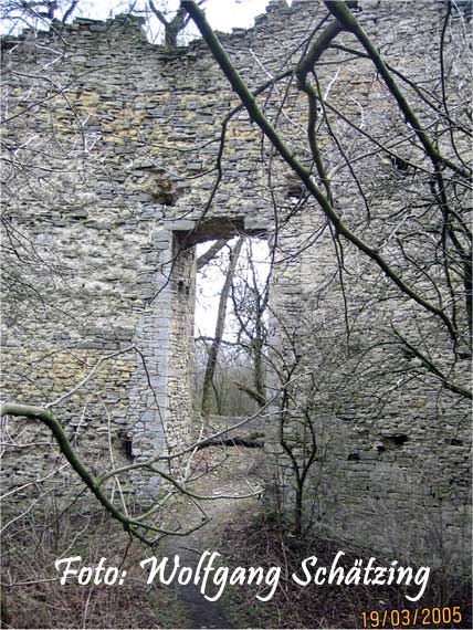 Die Domburg im Hakel Foto: Wolfgang Sch�tzing